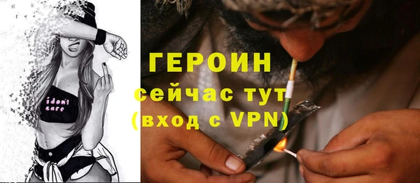 молекула духа Вяземский
