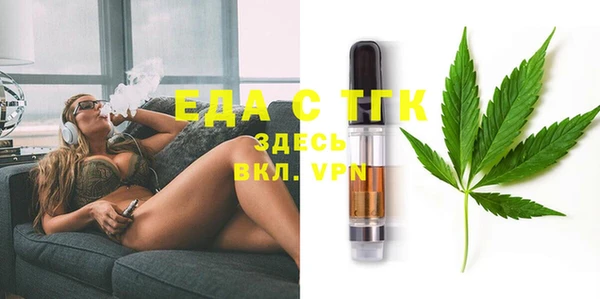 молекула духа Вяземский