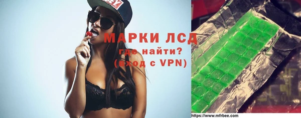 молекула духа Вяземский
