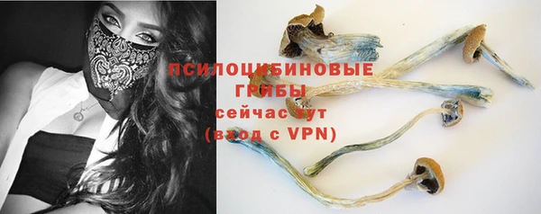 молекула духа Вяземский