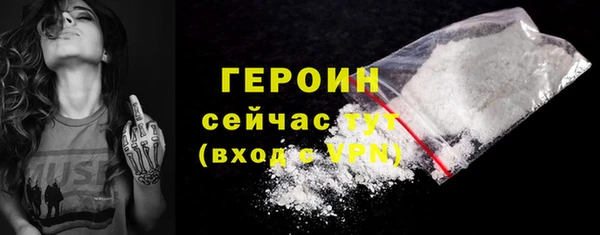 молекула духа Вяземский