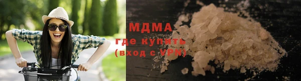 молекула духа Вяземский