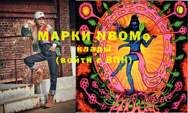 молекула духа Вяземский