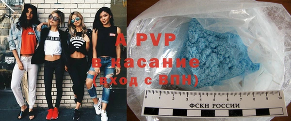 молекула духа Вяземский