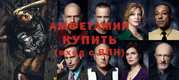 молекула духа Вяземский