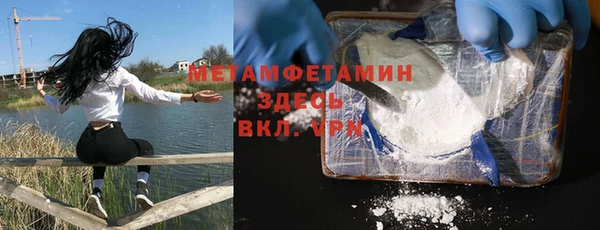 молекула духа Вяземский