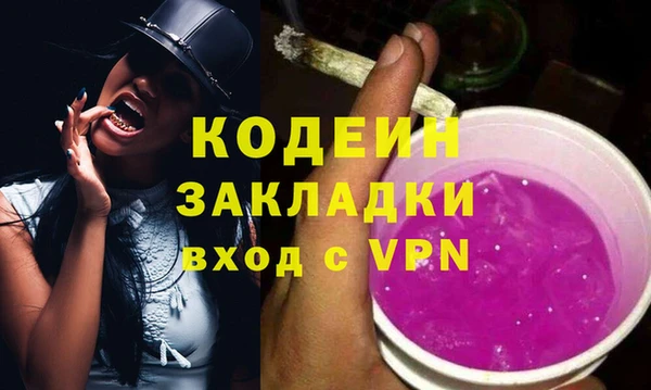 молекула духа Вяземский
