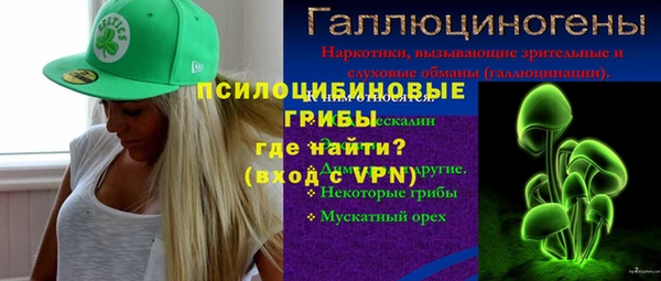 молекула духа Вяземский