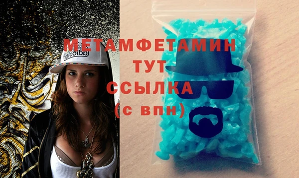 молекула духа Вяземский