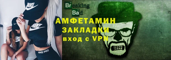 молекула духа Вяземский