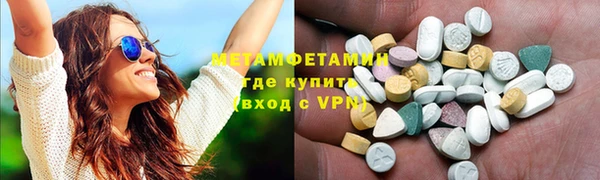 молекула духа Вяземский